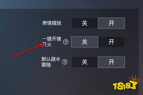 和平精英「毛豆直装」辅助外挂